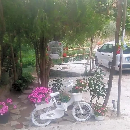 Panzió Amaa Casa 4*