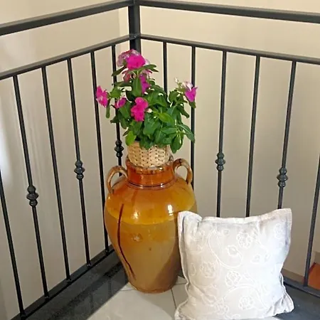 Amaa Casa